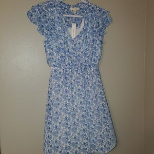 COPY - NWT Blue and White Floral Summer Dress anthro